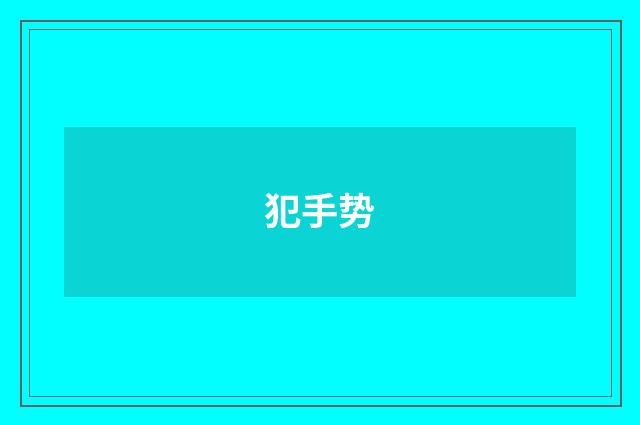 犯手势