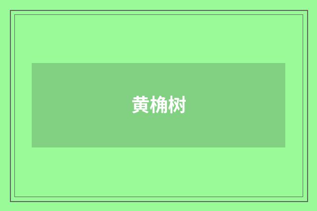 黄桷树