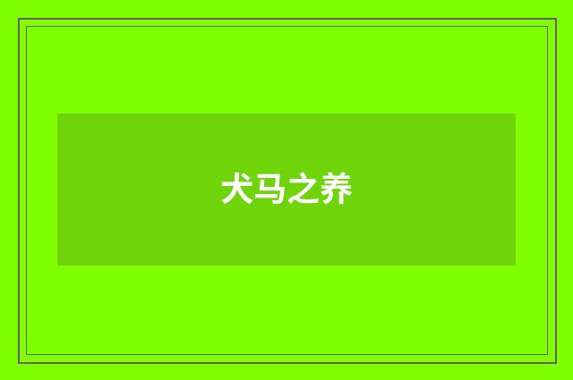 犬马之养