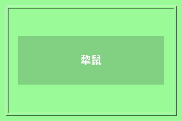 犂鼠