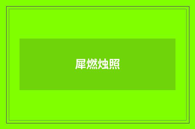 犀燃烛照