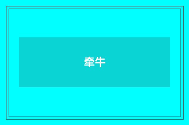 牵牛