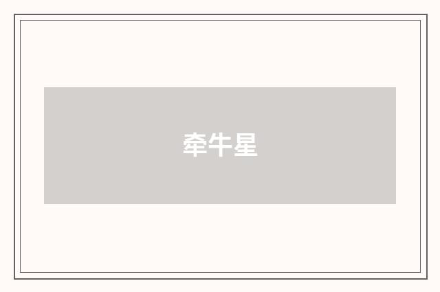 牵牛星