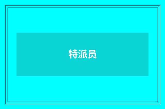 特派员