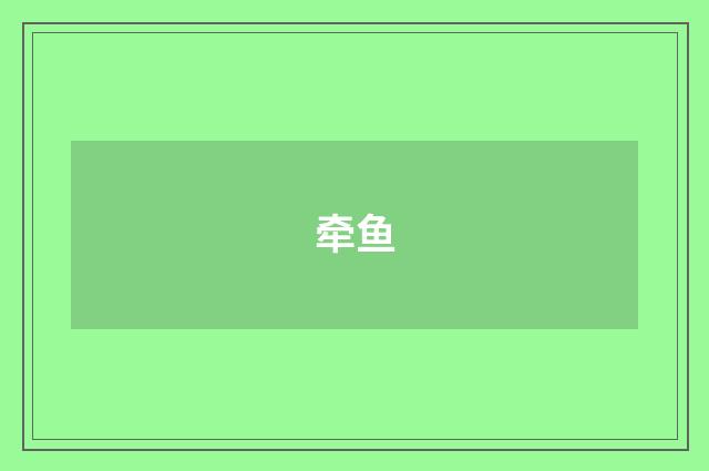牵鱼