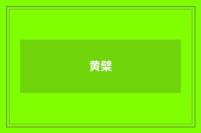 黄檗