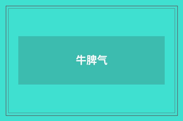 牛脾气
