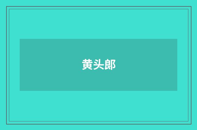 黄头郞