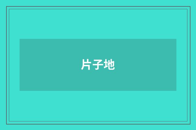 片子地