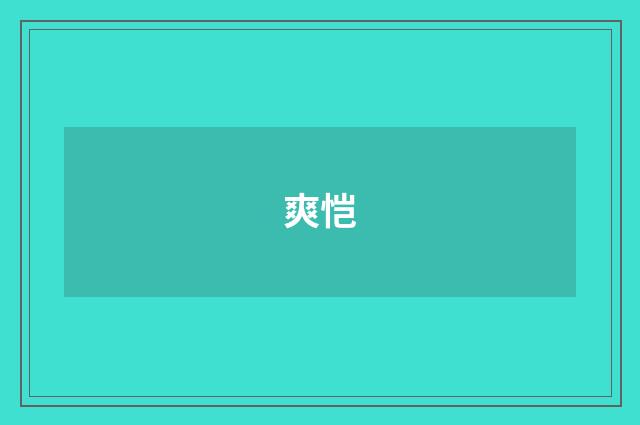 爽恺