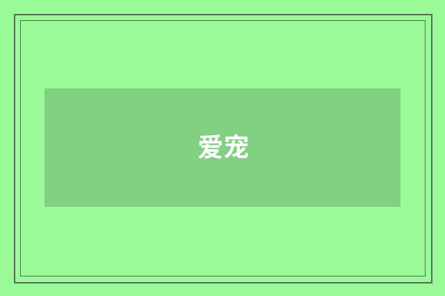 爱宠