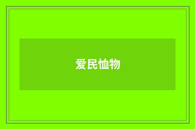 爱民恤物