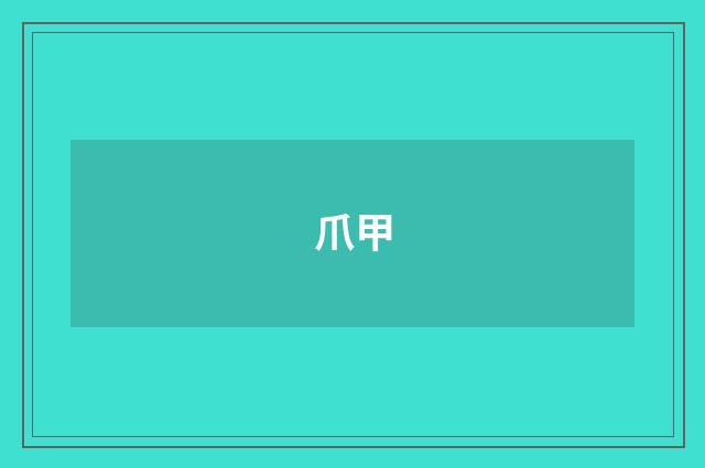 爪甲