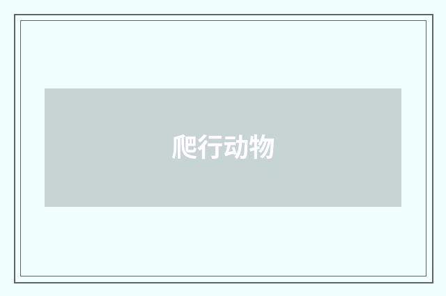 爬行动物