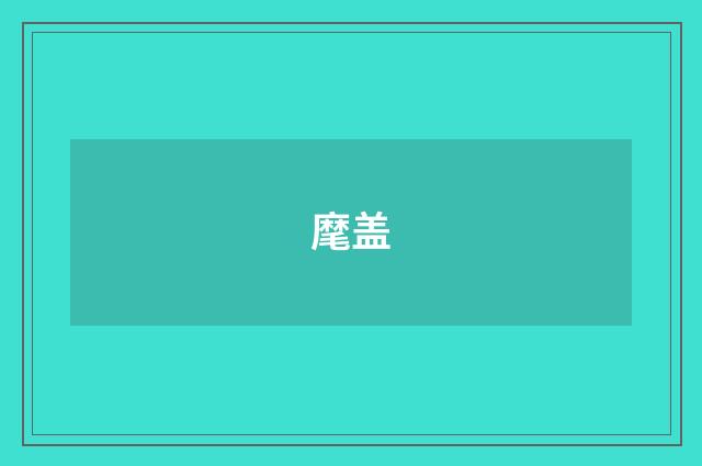 麾盖