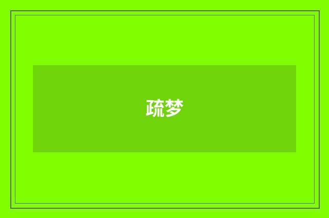 疏梦
