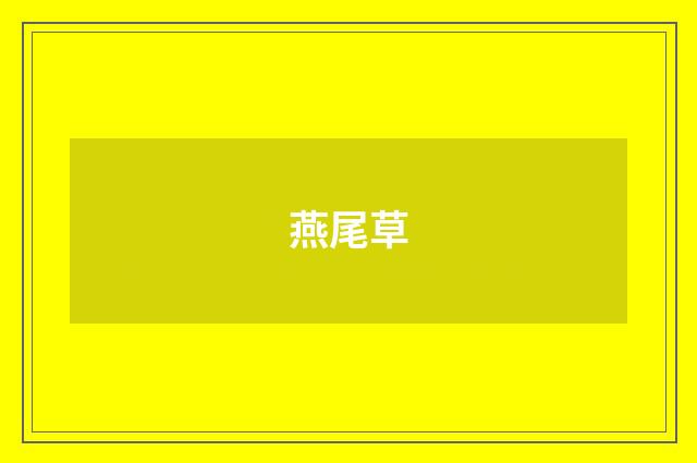 燕尾草