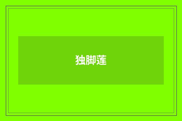 独脚莲
