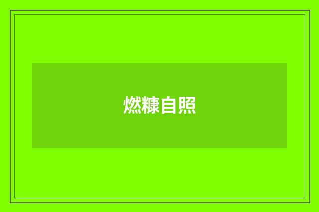 燃糠自照