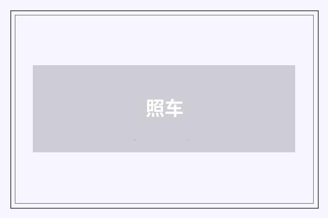 照车