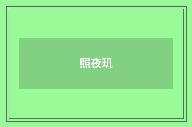 照夜玑