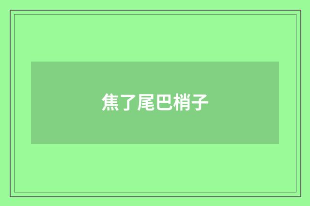 焦了尾巴梢子