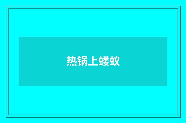 热锅上蝼蚁