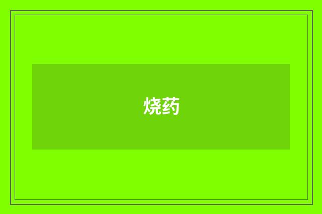 烧药