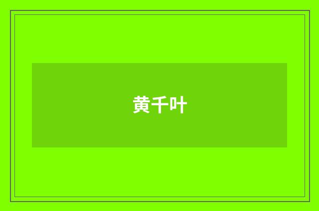 黄千叶