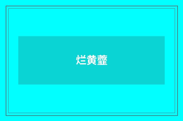 烂黄虀