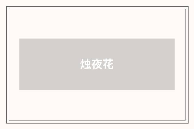 烛夜花