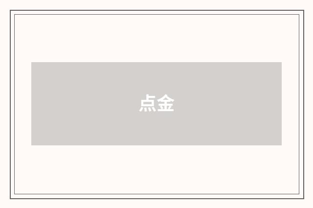 点金