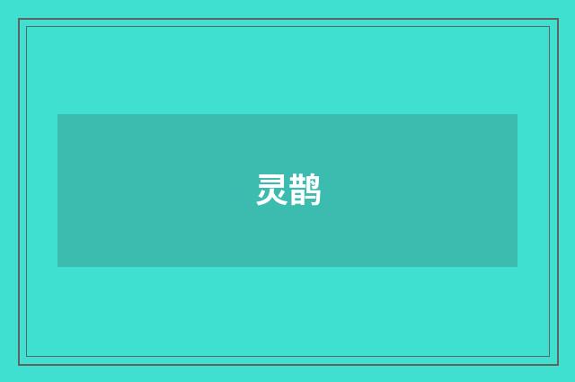 灵鹊