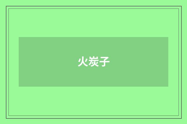 火炭子