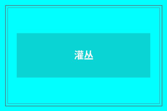 灌丛