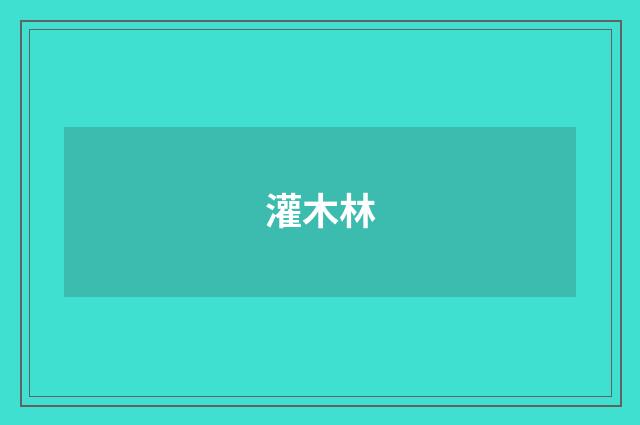灌木林