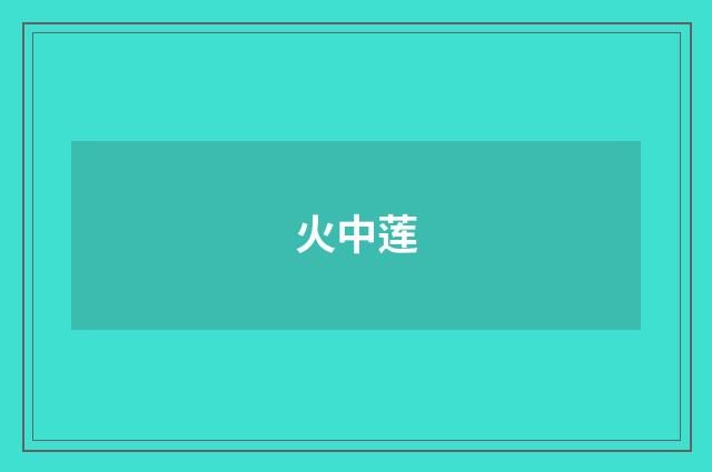 火中莲