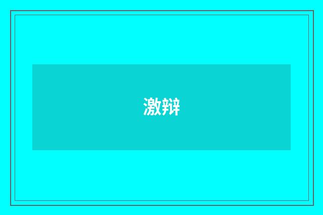 激辩