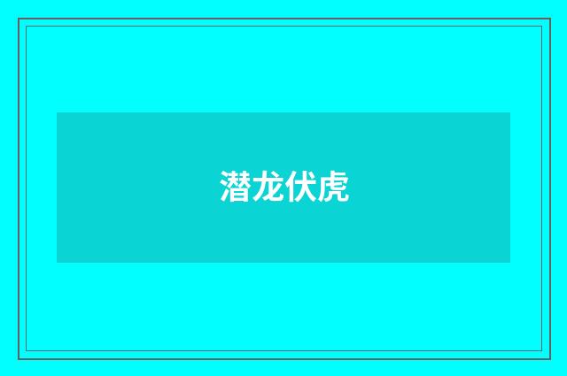 潜龙伏虎