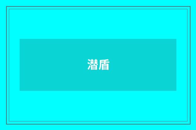 潜盾