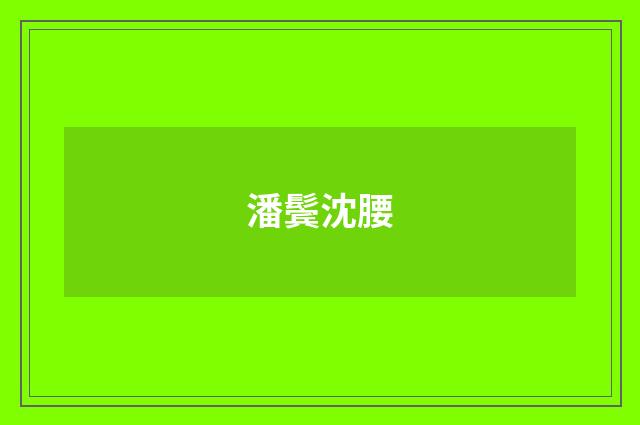 潘鬓沈腰