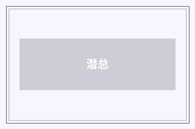 潜总
