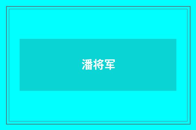 潘将军