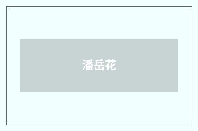 潘岳花