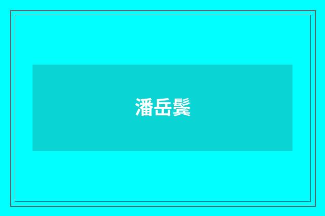 潘岳鬓