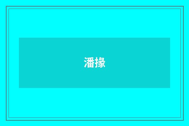 潘掾