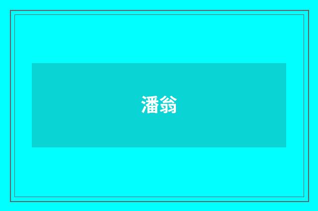 潘翁