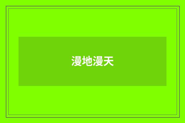 漫地漫天