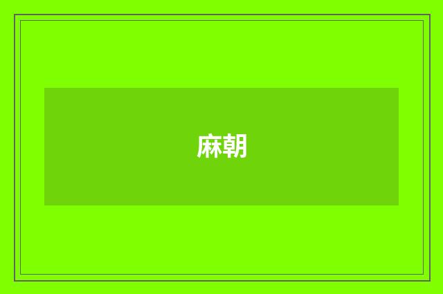 麻朝