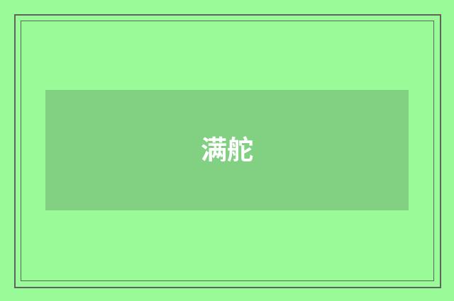 满舵